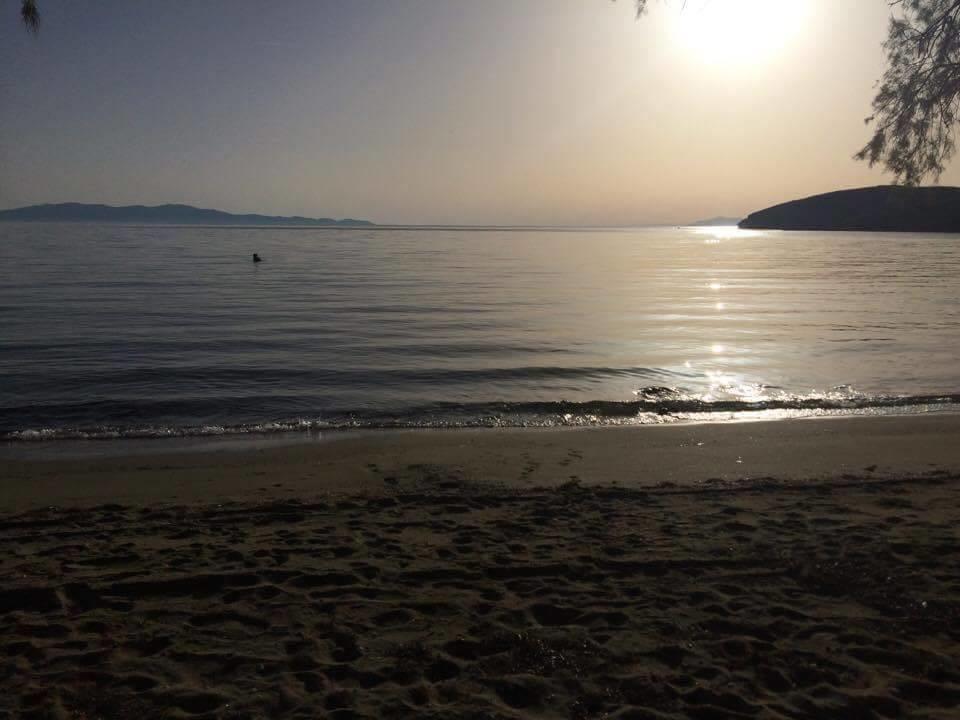 Elia Apartments Agios Romanos Buitenkant foto