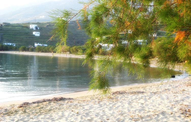 Elia Apartments Agios Romanos Buitenkant foto